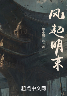 风起明末小说笔趣趣