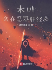 木叶:我在忍界肝经验TXT下载