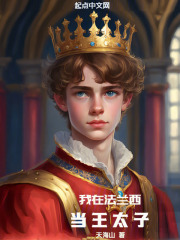 我在法兰西当王太子小说