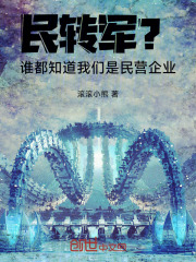 民转军?谁都知道我们是民营企业 笔趣阁