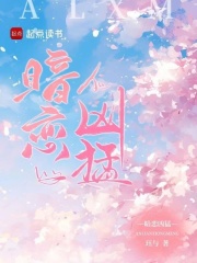 暗恋凶猛小说讲的什么