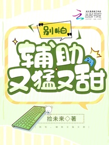 别碰我辅助