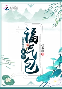 穿越农家团宠福气包TXT下载