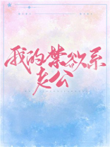 我的禁欲系老公小说晋江