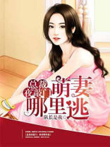 总裁夜敲门:萌妻哪里逃