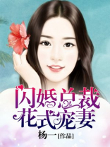 小说闪婚总裁花式宠妻