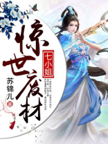 惊世废材七小姐 苏锦儿