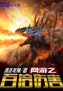 网游之百倍伤害 小说