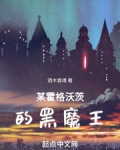 某霍格沃茨的黑魔王
