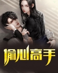 偷心高手