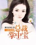 一夜惊婚:总裁掌中宝