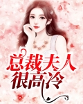 总裁夫人很高冷