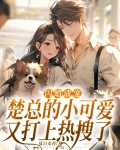 闪婚成宠,楚总的小可爱又打上热搜了
