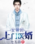 女神的上门医婿