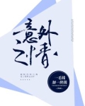 意外之情