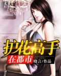 护花高手在都市