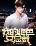 我的绝色女总裁