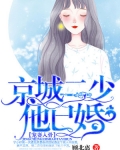 宠妻入骨:京城二少他已婚