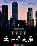 爱情公寓之一年之后