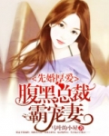 先婚厚爱:腹黑总裁霸宠妻