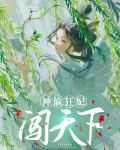 神偷狂妃闯天下